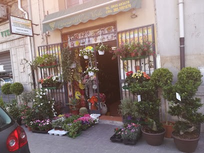 Fioreria All' Oasi Verde, Fiorista a Piazza Armerina