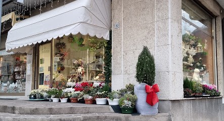 Il Pozzo Fiorito Di Caliaro Margherita, Fiorista a Chiampo