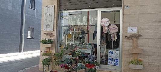 Il tempio delle ninfee, Fiorista a Cassano delle Murge