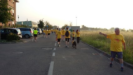 Ferrari Stefano E Malagoli Paola Snc, Fiorista a Soliera