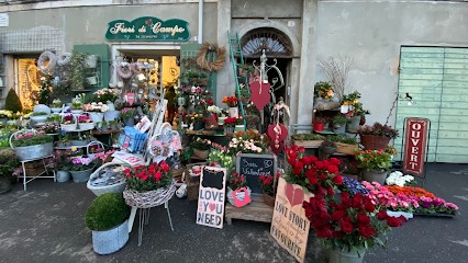Fiori Di Campo, Fiorista a Cigliano