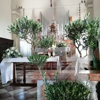 Fioreria da Giorgio di Iussa Monica, Fiorista a Cinto Caomaggiore