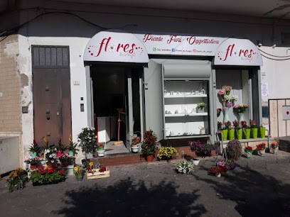 Flores De Angel, Fiorista a Lusciano