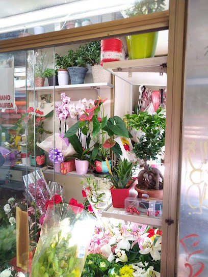 Das Kakoli, Fiorista a Bologna