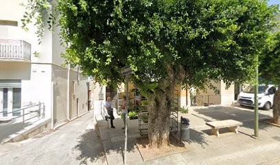 Linea Verde, Fiorista a Valderice