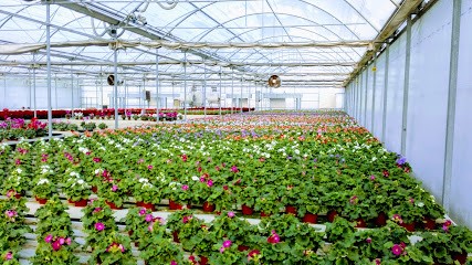 Tomasin Roberto, Fiorista a Villamarzana