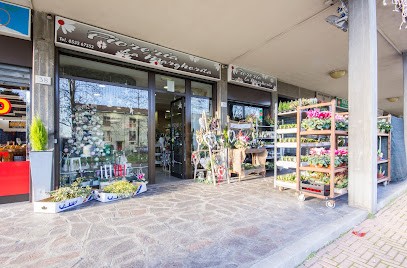 Fioreria La Margherita, Fiorista a Ferrara