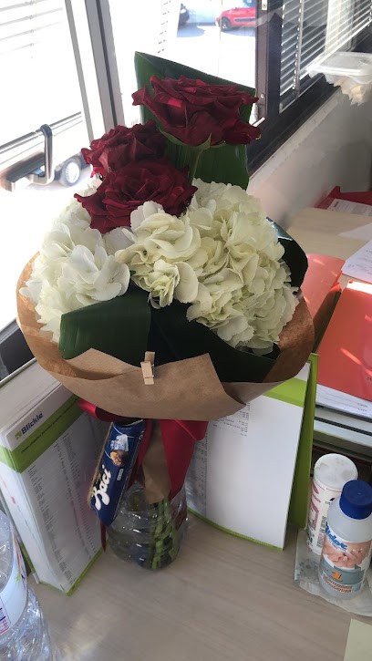 I Fiori Di Nicoletta, Fiorista a Città di Castello