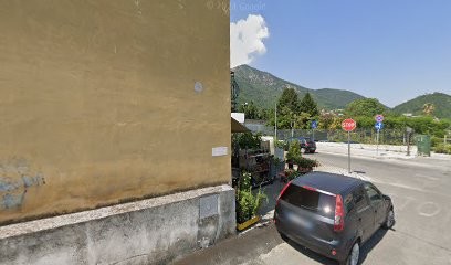 Flori E Plante L'Amaryllis, Fiorista a Cava de' Tirreni