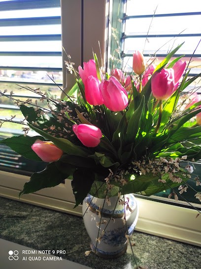 AL Giardino Dei Fiori Di Maimone Giovanni, Fiorista a Milazzo