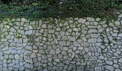 Il Girasole di Bonanni Cristina, Fiorista a Artena