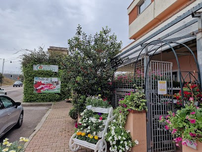 S.A.Commercial Garden Group Srls, Fiorista a Olbia
