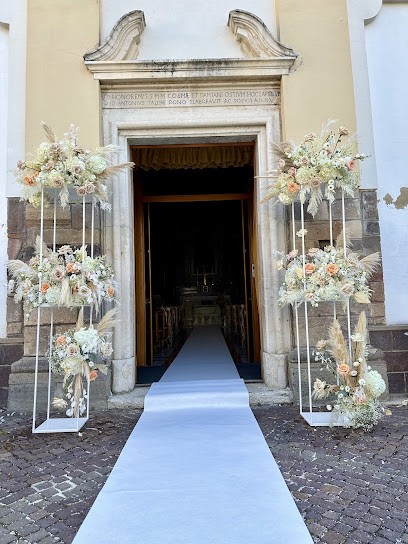 Bollicine fiori e piante, Fiorista a Torricella Peligna