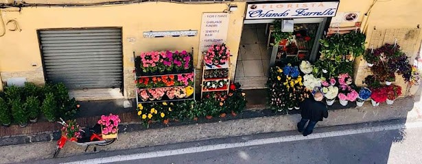 Fiorista Zarrella Orlando A Nocera Inferiore (fiori E Piante, Addobbi Matrimoniali, Consegne A Domicilio E Pagamenti Online), Fiorista a Nocera Inferiore