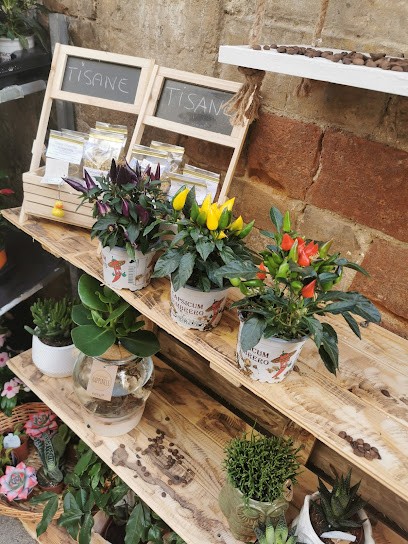 Camelia Fiori, Fiorista a Bevagna