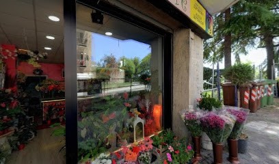 Oasi Del Fiore, Fiorista a Potenza