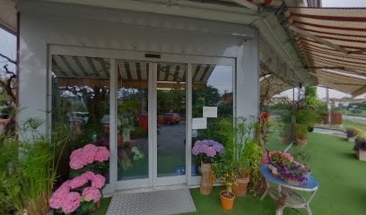 Fiori e Piante Zaggia di Zaggia Stefania, Fiorista a Selvazzano Dentro