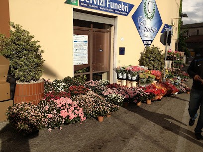 Fiorista CUOMO, Fiorista a Montecorvino Rovella