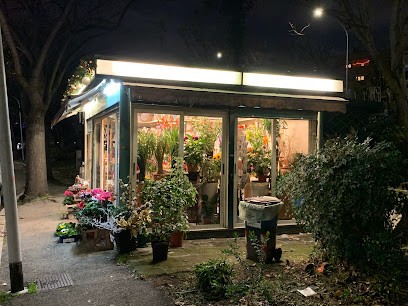 Biancone Giuseppe, Fiorista a Roma