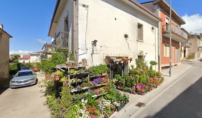 Baldino Maria Giovanna, Fiorista a Molinara