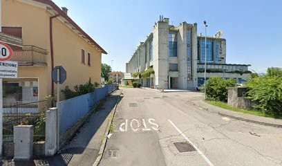 FIORI E FATE, Fiorista a Conegliano