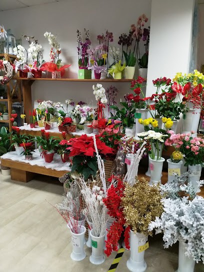 Fior di Lillà, Fiorista a Meolo