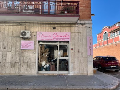 Onoranze Funebri E Fiori La Magnolia, Fiorista a San Severo