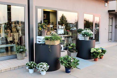 Fioreria VDA Borella - Fioreria Vicino A Me Mira, Mirano E Dolo, Fiorista a Fiesso d'Artico