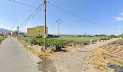 Crisafulli Giovanni Mario, Fiorista a Milazzo