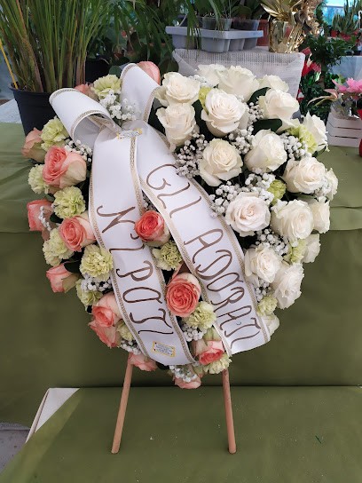 Idea Verde Cannitello, Fiorista a Villa San Giovanni