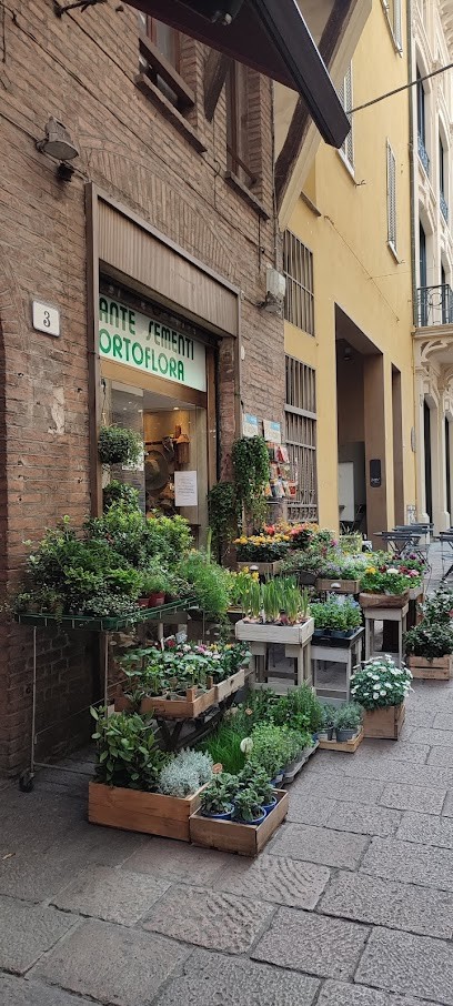 Ortoflora Di Mainardi Anna, Fiorista a Bologna