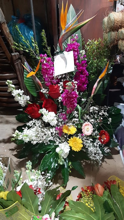 Stesc Fiori E Piante Di Filannino Francesco G., Fiorista a Barletta