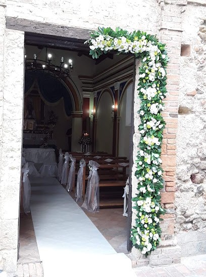 Lillà, Fiorista a Bisignano