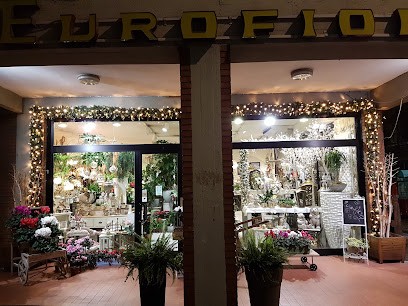 Eurofiori Maurizio Conticini, Fiorista a Firenze