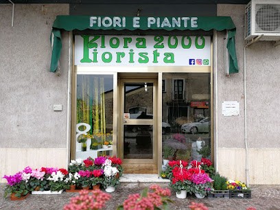 Flora 2000 Teggiano, Fiorista a Teggiano