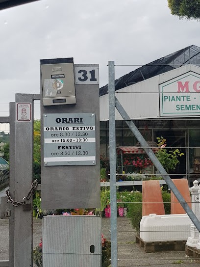 M. G. - Ortofloricoltura, Fiorista a Grandate