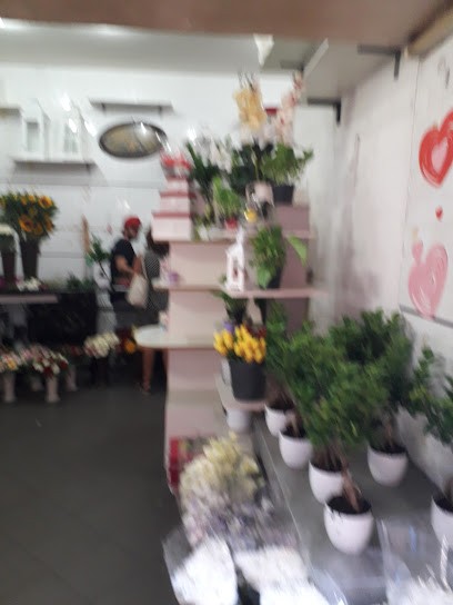 Piante E Fiori Della Valle, Fiorista a Napoli