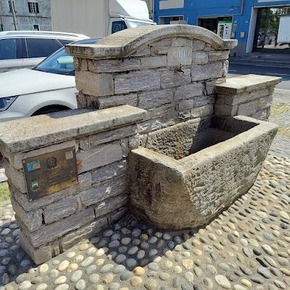 Punto Verde Di Brocca Cristian, Fiorista a Vogogna