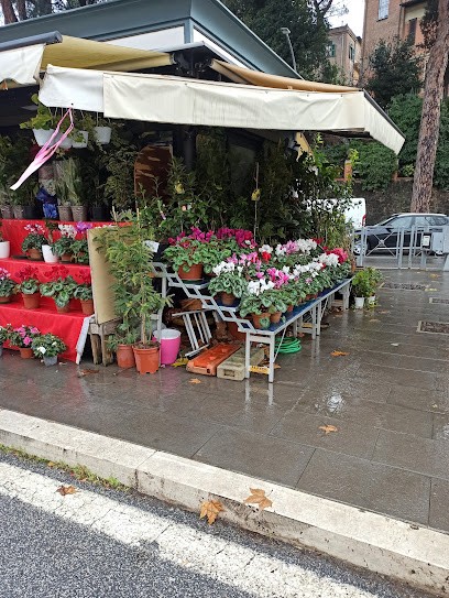Fiori E Piante, Fiorista a Roma