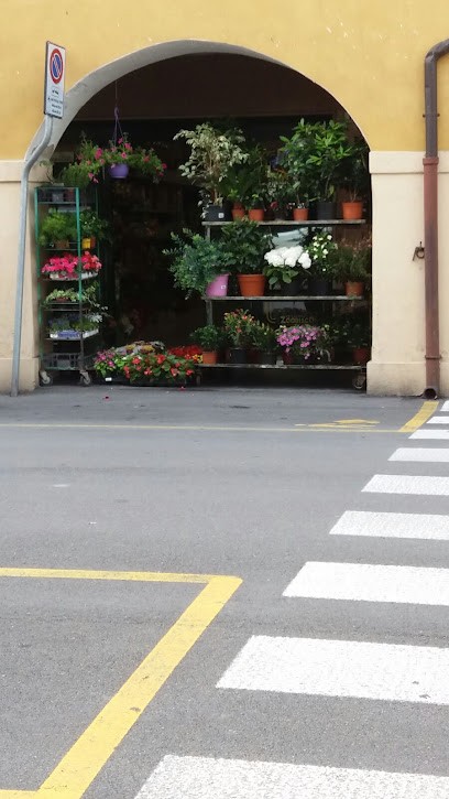 Marzotto Guido, Fiorista a Piove di Sacco