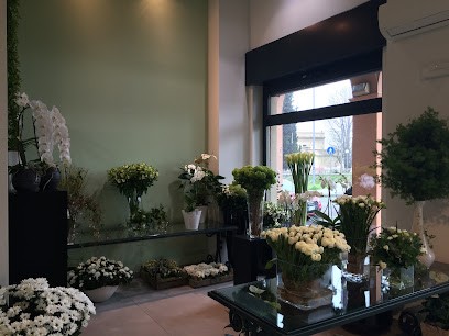 Corallo srls, Fiorista a Bologna