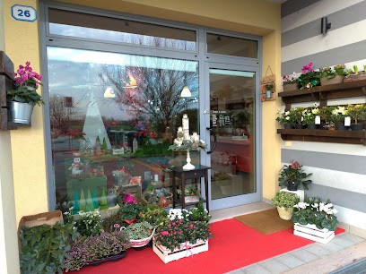 Fioreria Fiori Di Laura, Fiorista a Padova