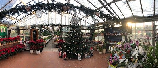 Floricoltura Benda Sergio, Fiorista a Noventa Vicentina