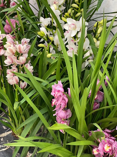 La Maison de Fleur, Fiorista a Villacidro