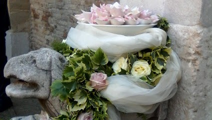 Giancarla Piante E Fiori, Fiorista a Pesaro