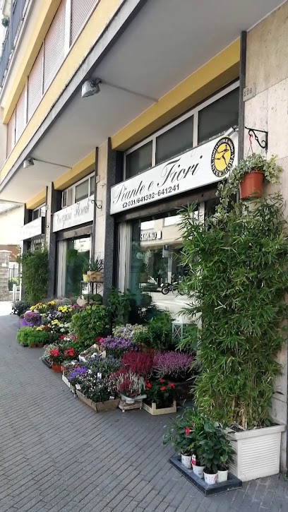 Tagliabue Maria Teresa Creazioni Floreali, Fiorista a Erba