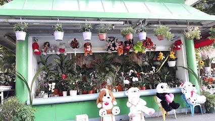 Fiori Green Flower, Fiorista a Torino