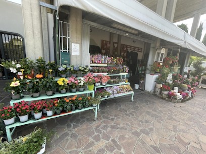 Fior D'Ilaria Di Fonti Ilaria, Fiorista a Imola