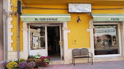 Il Girasole Fiori, Fiorista a Avetrana