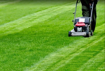 Geco Giardini, Fiorista a Monsano